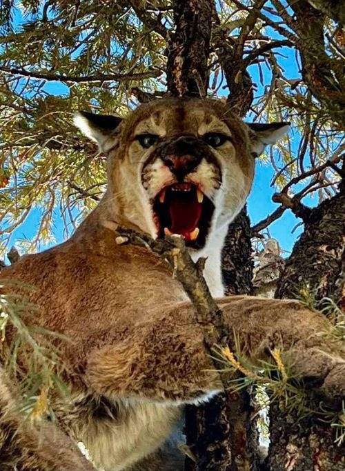 What to Expect What to Expect